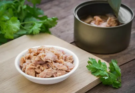 قیمت خرید تن ماهی دودی عمده به صرفه و ارزان